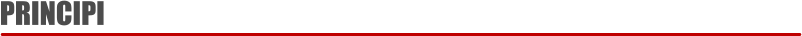 PRINCIPI
