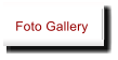 Foto Gallery