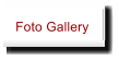 Foto Gallery