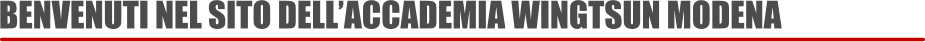 BENVENUTI NEL SITO DELLACCADEMIA WINGTSUN MODENA