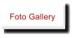 Foto Gallery